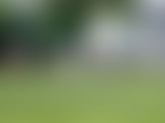 Unnötiger Punktverlust gegen LOK Chemnitz