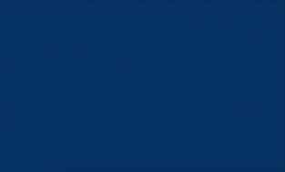 BRW background v3.png