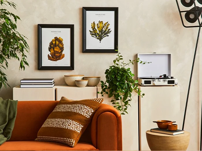 Explore the Difference Between Living Room And Drawing Room