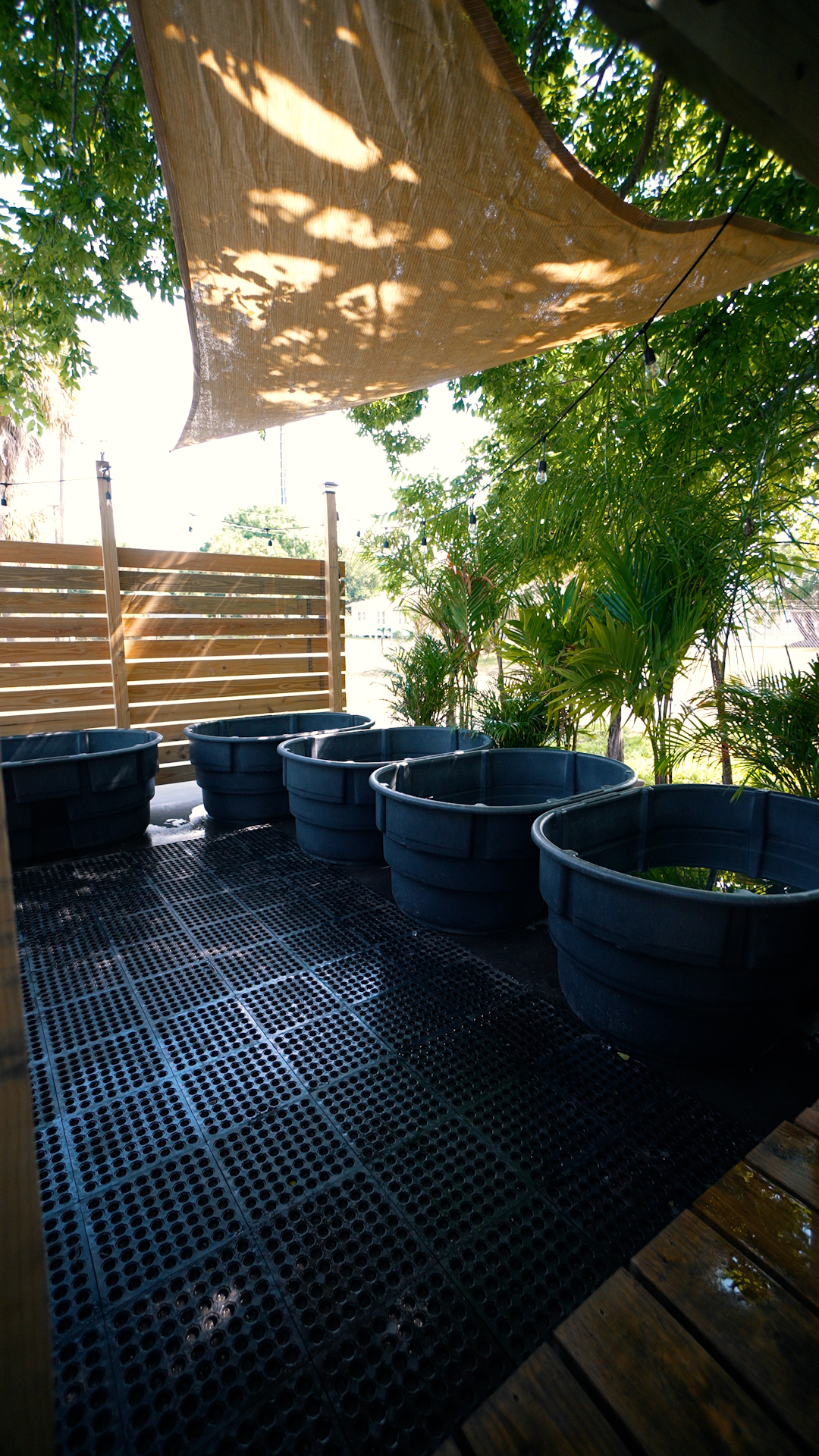 The Sauna Guys - Image 7