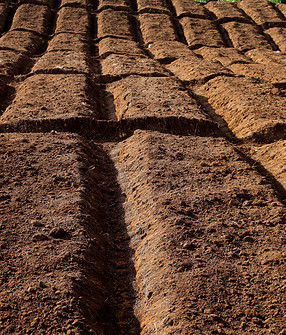 plowed-farmland-with-dark-brown-soil-2026-01-09-12-05-09-utc.jpg.jpeg