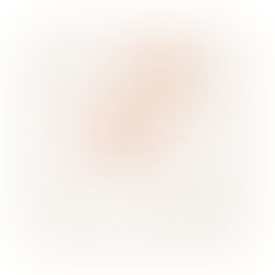 Reflections 28 Jul 24