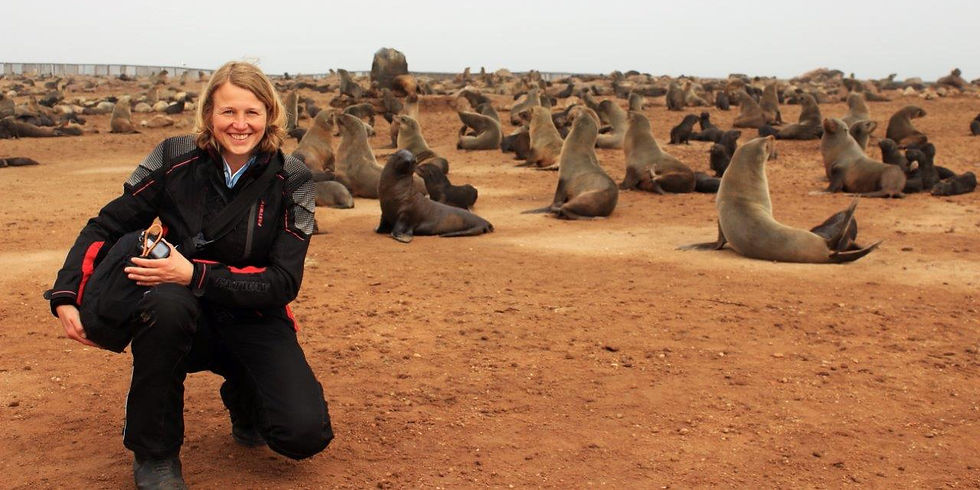 Seals, sea air, and a moment of awe. Namibia’s wild charm in full force.
