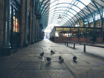 Blue arched metal braces across a glass roof with large hanging lights are above an empty Covent Garden market place.  There are a group of pigeons sat on the left hand sit on paving flags and empty wooden benches on the right hand side.  The shops on the left and cafe in the background are all closed.