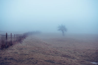 HeardinLondonFog copy.jpg