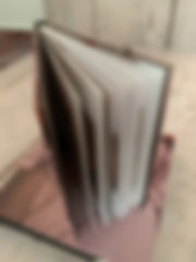 IMG_8352.jpeg