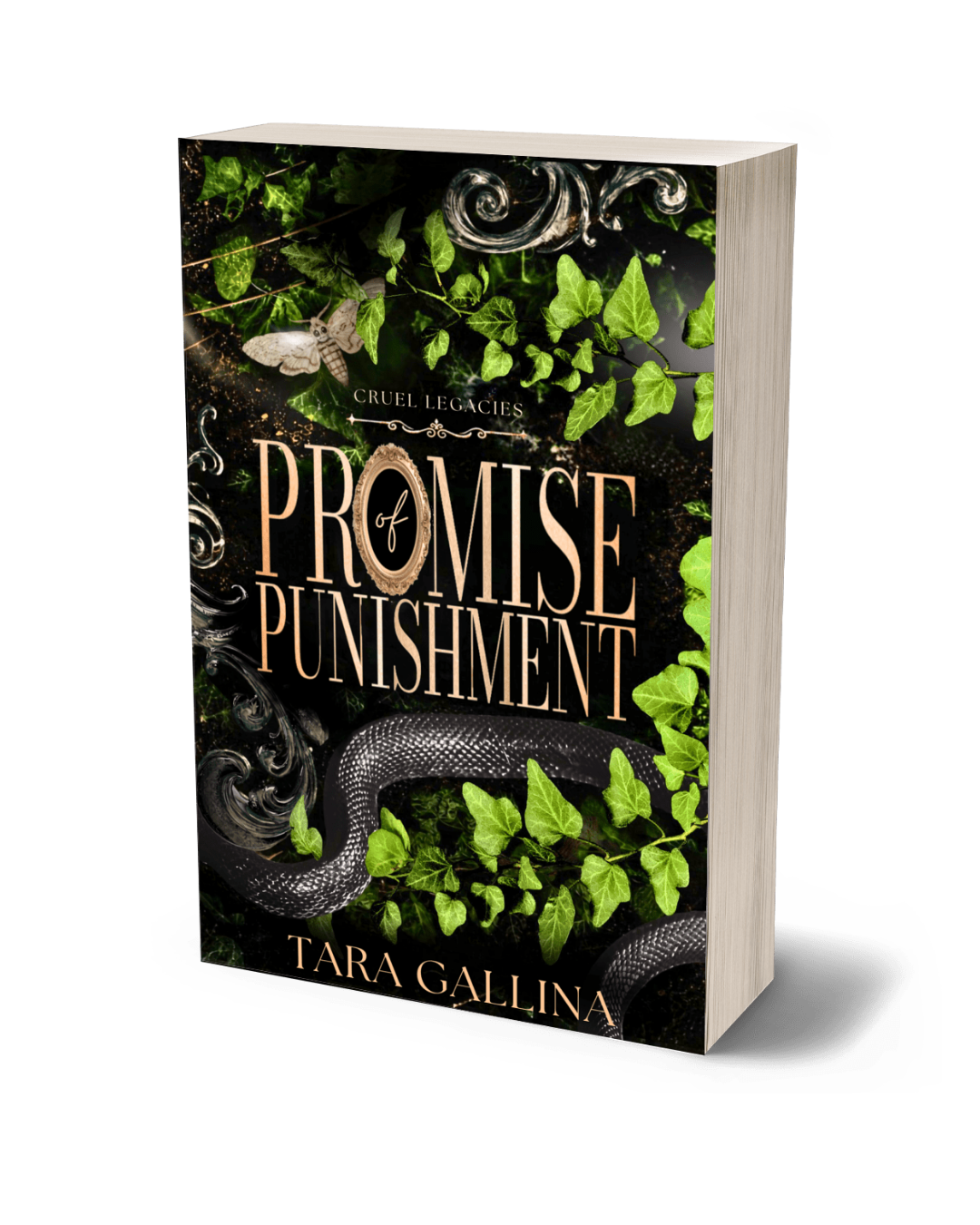 Promise of Punishment - FREE shipping