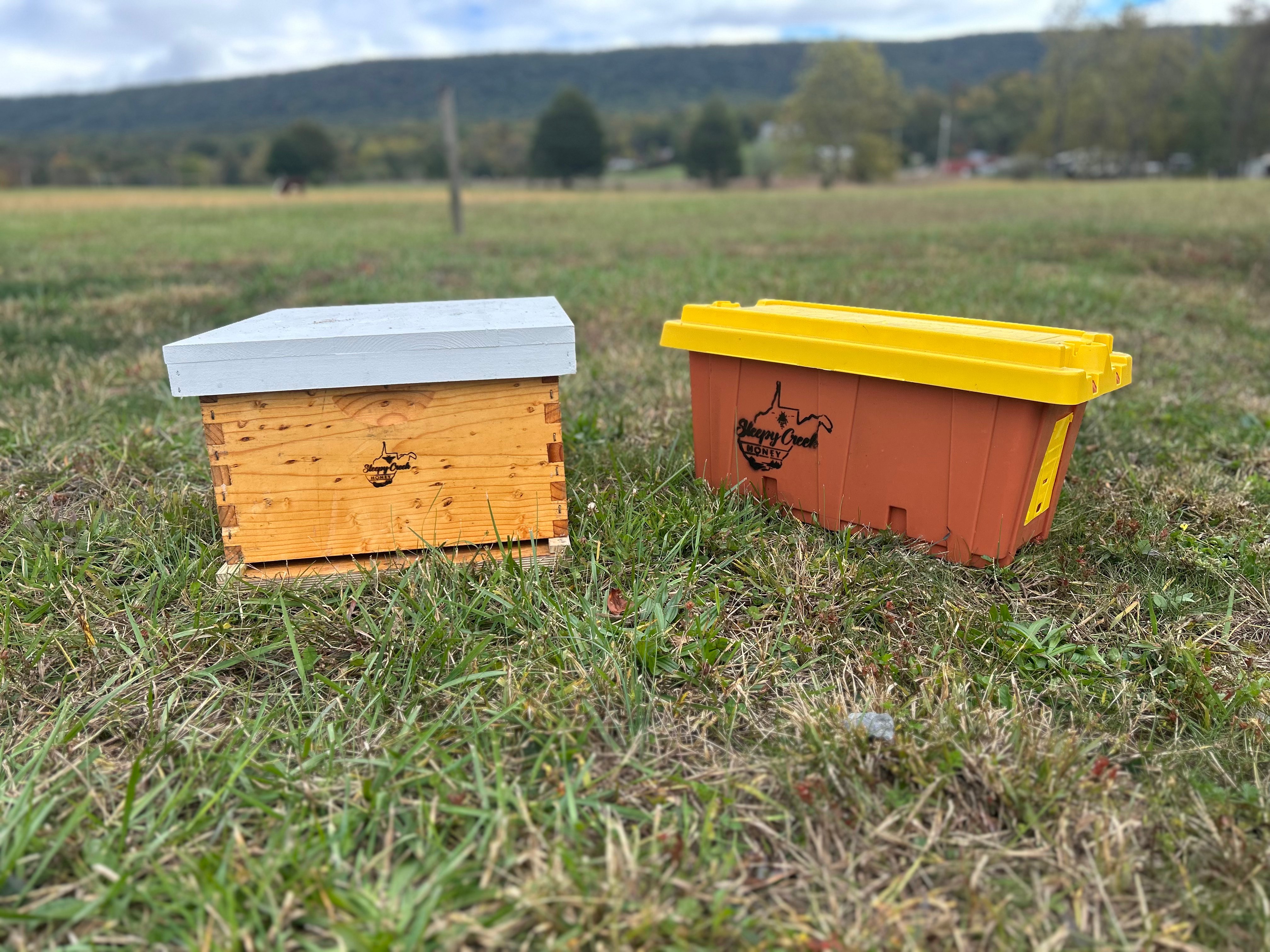 West Virginia Premium Unmarked Queen Nuc & Single HiveBody