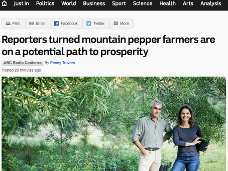 Australian Mountain Pepper on ABC News.