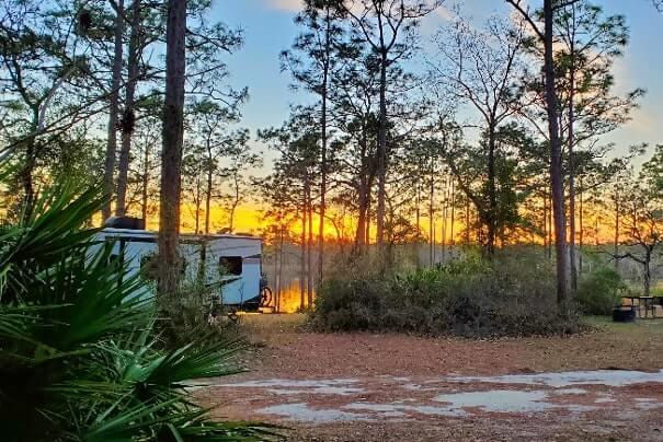 Tent and RV camping near the Blackwater River in Northwest Florida surrounded by trees and natural scenery