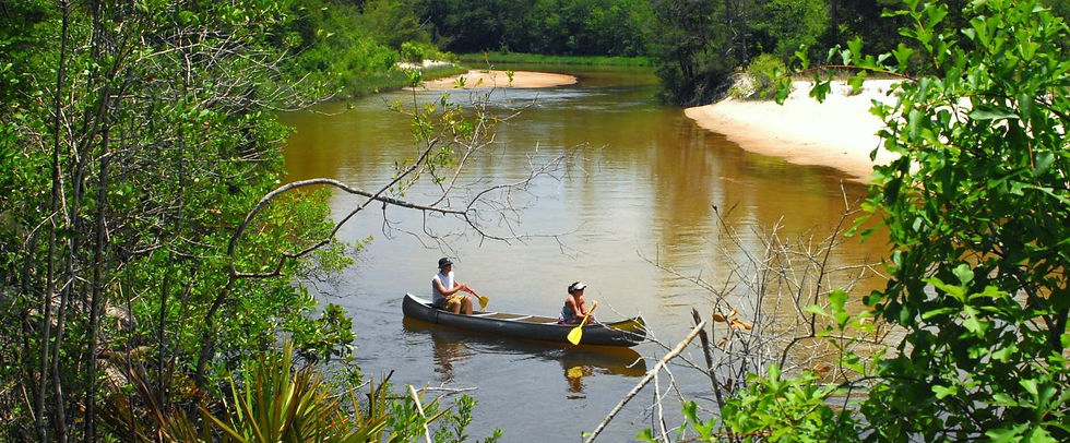 Scenic shoreline along the Blackwater River in Northwest Florida with calm tea-colored water and forest views