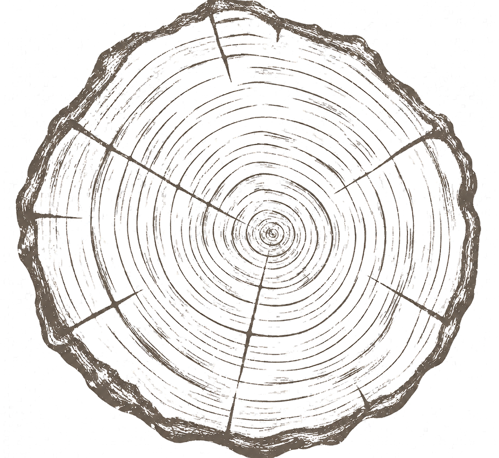 holzscheibe_jahresringe_transparent.png