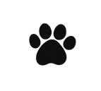 IMG-0118.PNG