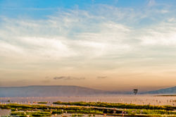 Lake Nakuru, Kenya