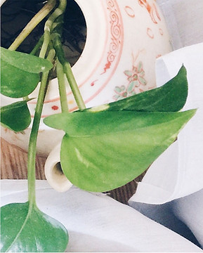 Candles and Essential Oils