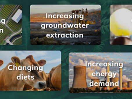 Nature-Based Solutions and Water