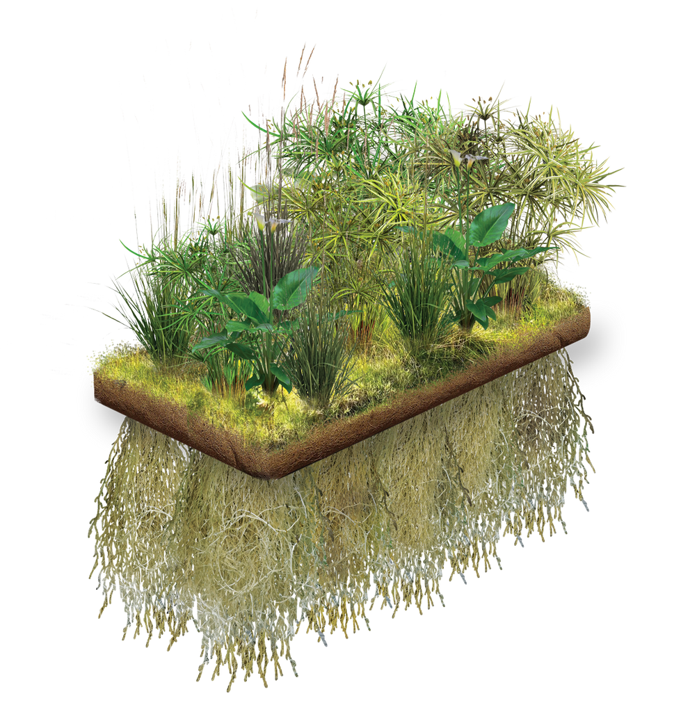 floating-wetland-3d