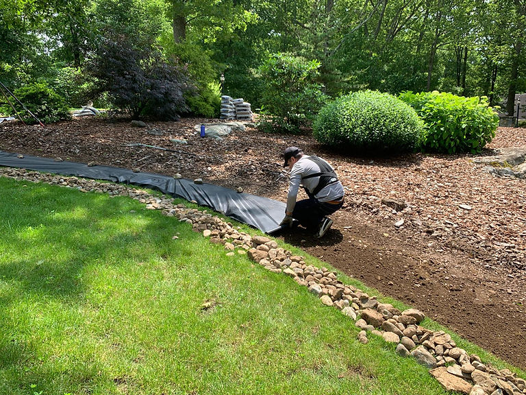 Works_Clltn (2).jpeg