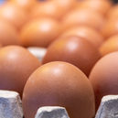 winkel 7 630x630.jpg