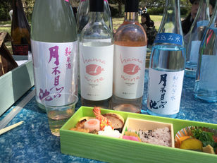 本牧山頂公園お花見会