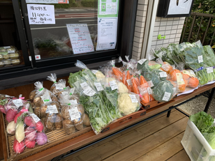 11/8 野菜販売します