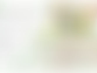 スーパーフード「モリンガ」とは!