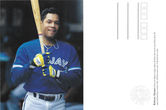 1995 Becker Blue Jays Designated Driver Postcards #NNO.jpg