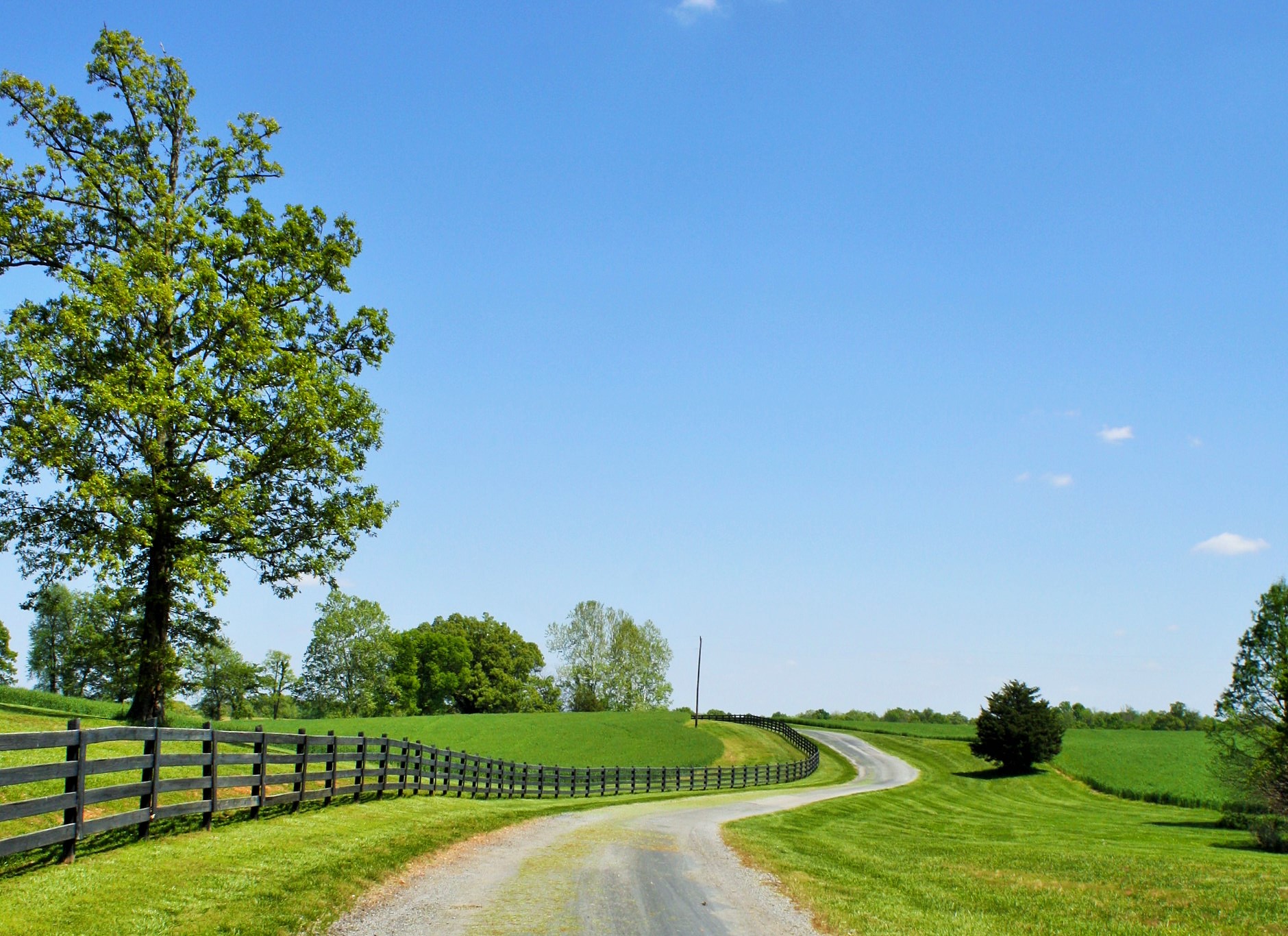 Southern Springs Events Kentucky Wedding Venue