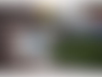 How to Leash Train a Cat