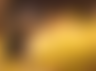 Poisonous Plants that Cat Owners Should Avoid 