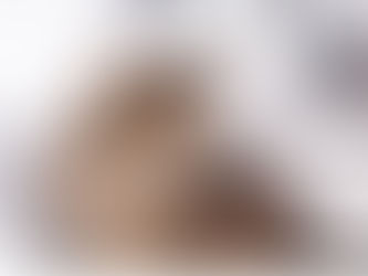 Should You Ever Give Your Cat A Bath?