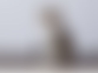 3 Signs You Should Switch Your Cat Food