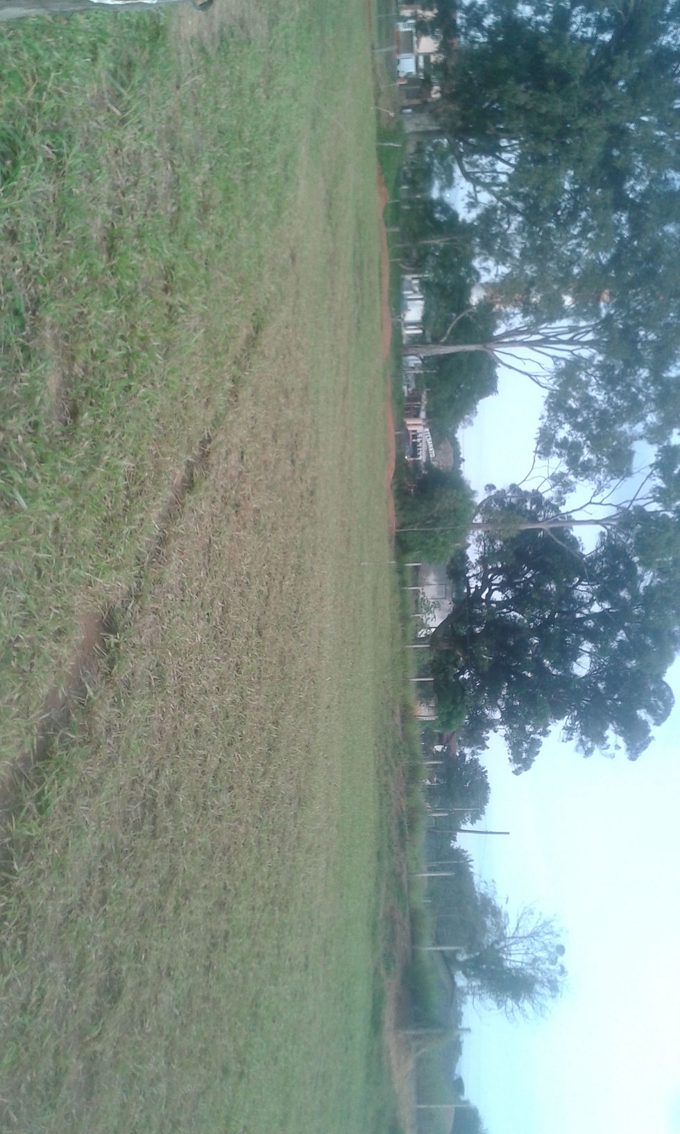 IMG-20160509-WA0021