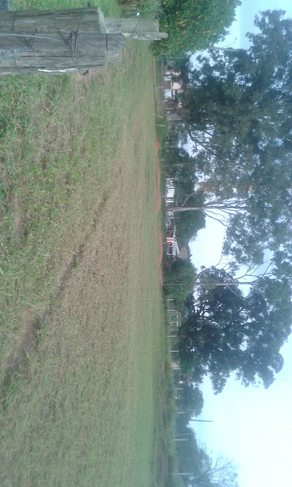 IMG-20160509-WA0023