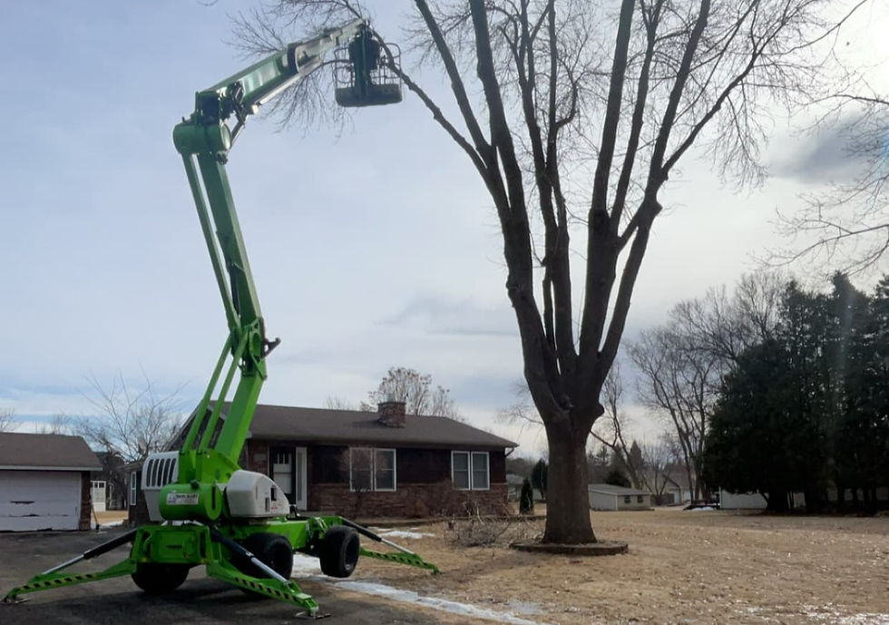High angle view of a tree removal crew working in a snowy yard