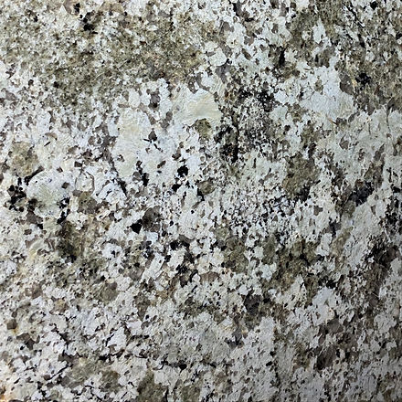 NAMB GREEN - CT 318.jpg