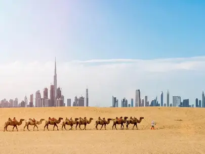 День переводчика в ОАЭ: между верблюдами и небоскребами