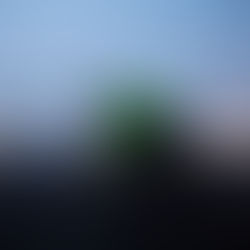 MBS International Airport