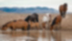 baby at the water hole with the family