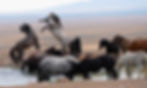 DSC09125.jpg