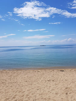 Avşa adası müsilaj son durum