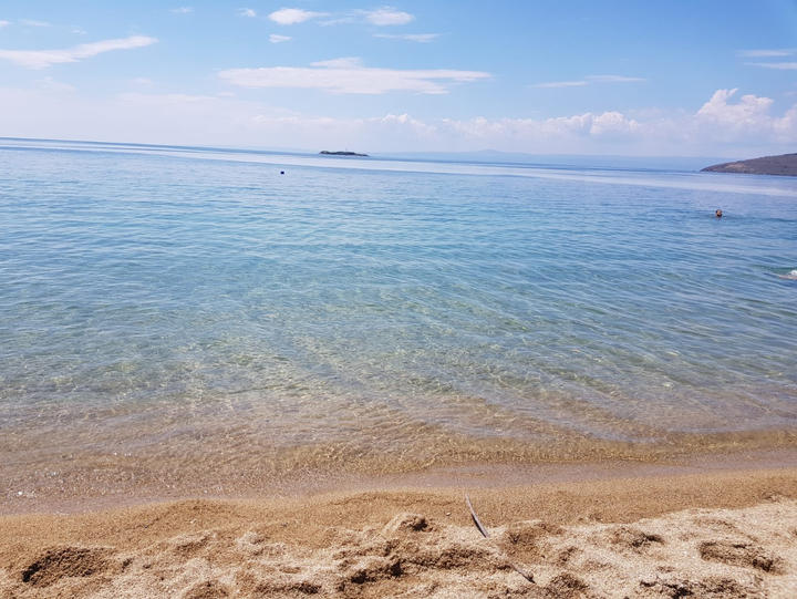 Avşa adası müsilaj son durumu