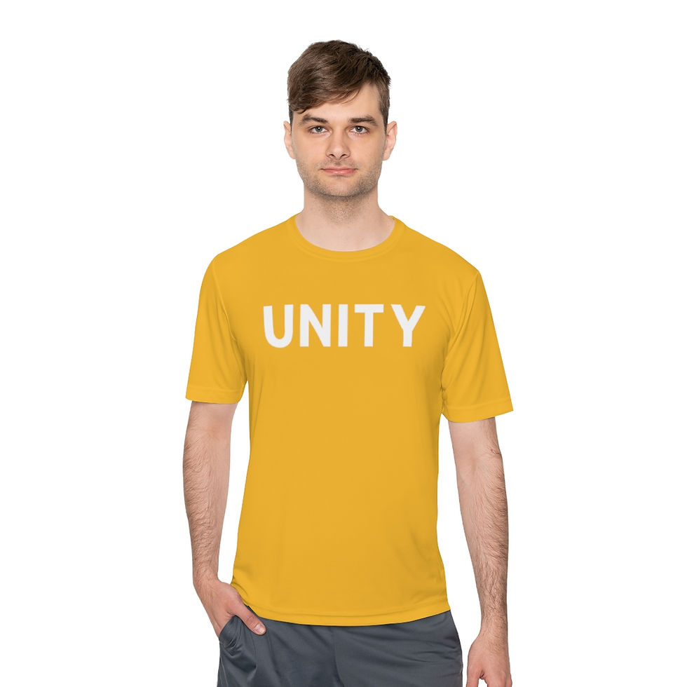 縮圖：DIVERSITY IS A FACT, INCLUSION IS AN ACT t-shirt