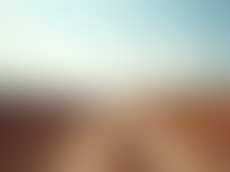 Expert Land Clearing: Tree Removal and Grading Services