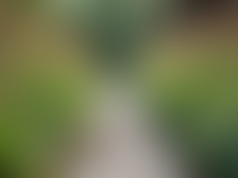 Enhance Your Landscape with Replanting and Drainage Solutions