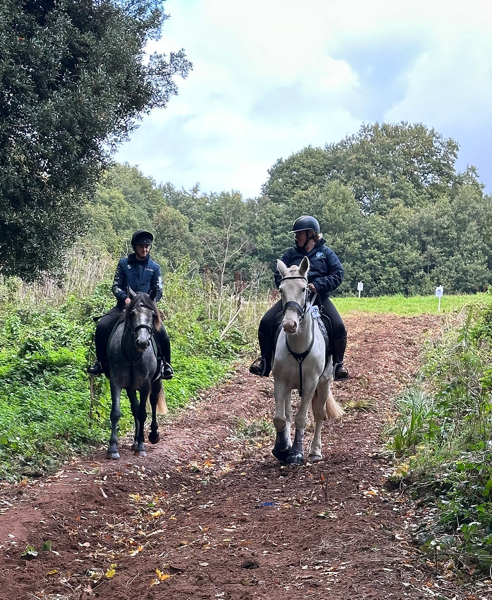 Thank You for a Wonderful Autumn Pleasure Ride! 🍂🐴