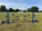 Novice Show and Fun Dog Show- 14 June 2026