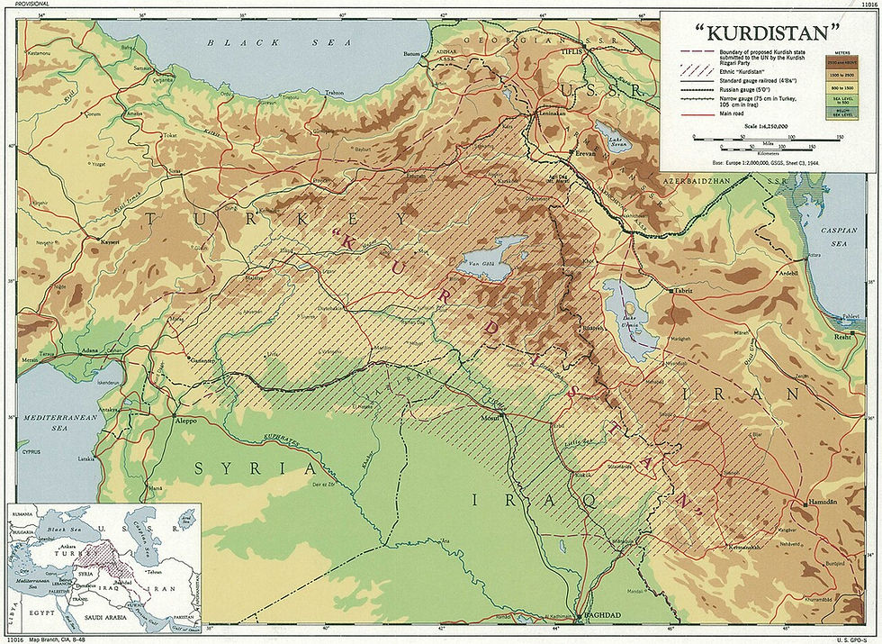 Elegy for Rojava