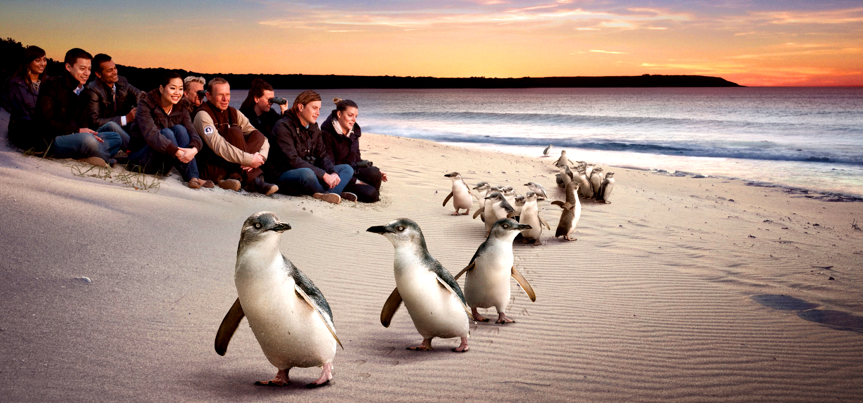 Cowes Australia Cottages For Two In Phillip Island - 