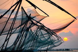 sunset nets